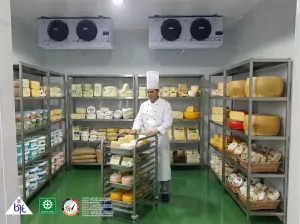 Mengenal Cold Storage: Solusi Penyimpanan Efisien untuk Produk Segar dan Beku
